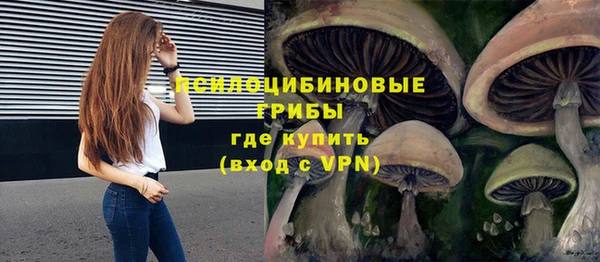 тгк Абаза