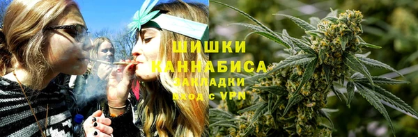 тгк Абаза