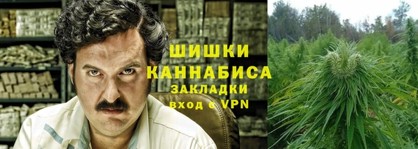 тгк Абаза