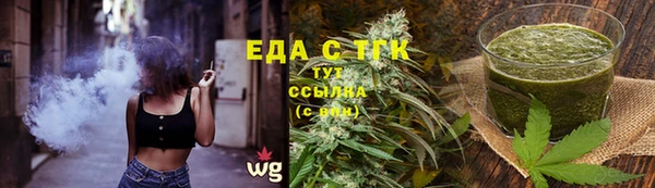 тгк Абаза