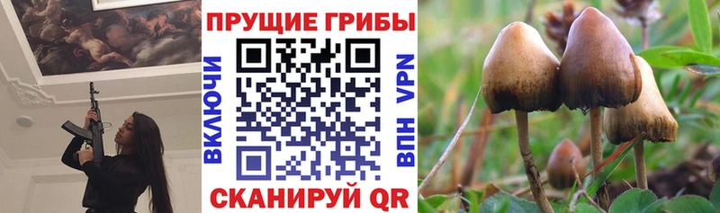 Галлюциногенные грибы Magic Shrooms как найти закладки Зубцов
